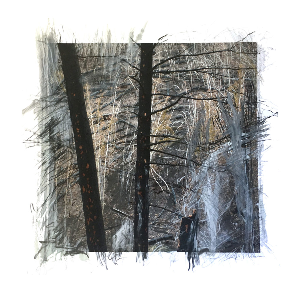 charred trees and burnt hill with grey and balck expressive lines drawn on top